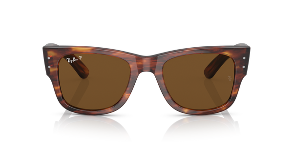 Anteojos de Sol Ray-Ban Mega Wayfarer RB0840S Polarizado